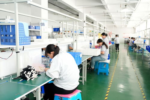 濰坊綜合保稅區 深化金融服務創新，無形資產變“真金白銀”，技術服務助力企業發展