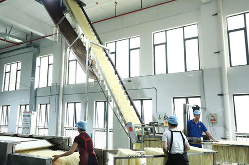 柳江區 精準創新雙輪驅動，食藥產業強音奏響技術服務新篇章